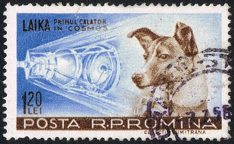 Laika, the Space Dog